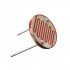LIGHT DEPENDENT RESISTOR (LDR)